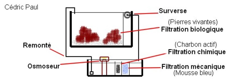 filtra10.jpg filtra10.jpg