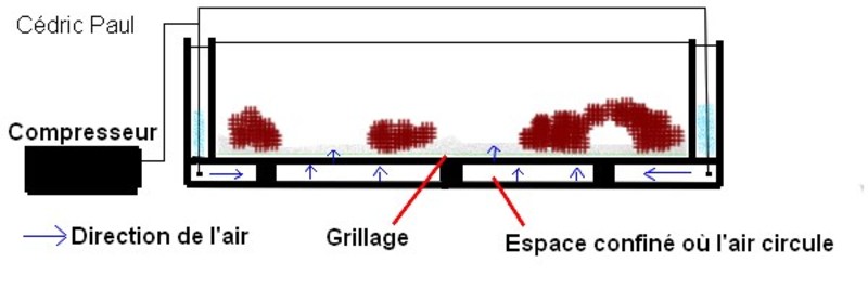 filtra12.jpg filtra12.jpg