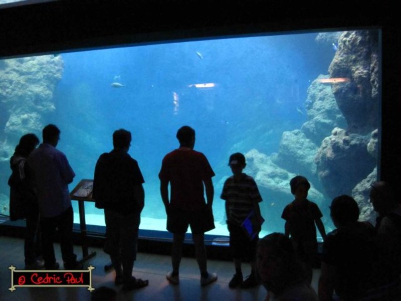 Grand Aquarium de Lyon