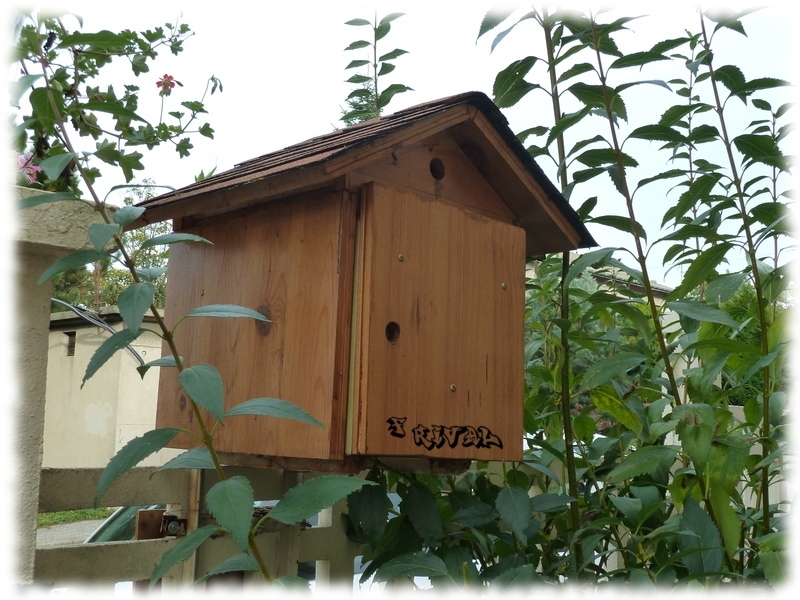 habillage de boîte aux lettres en bois - L'Aquaramiaud