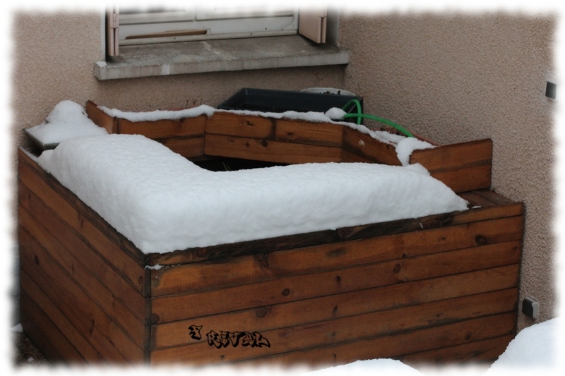 bassin_neige3.jpg bassin_neige3.jpg