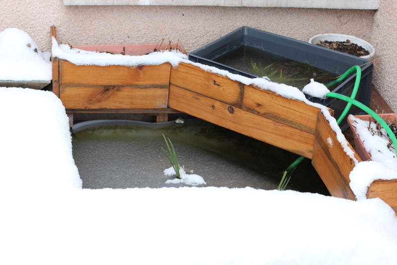 bassin_neige4.jpg bassin_neige4.jpg