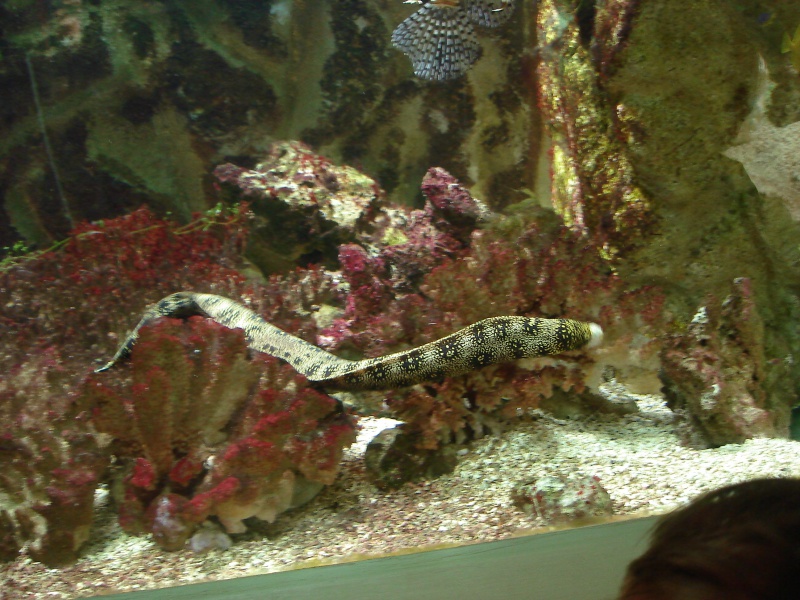 gilles_706676DSC00068.jpg gilles_706676DSC00068.jpg