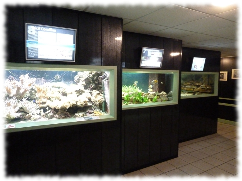 "aquarium saint chamond aquaramiaud espace neruda pablo"