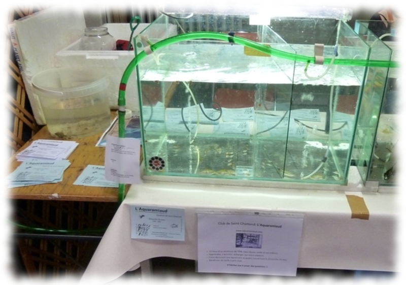bourse-2012_01.jpg bourse-2012_01.jpg
