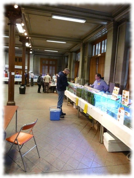 bourse-2012_02.jpg bourse-2012_02.jpg