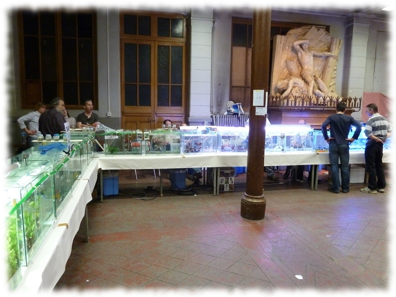 bourse-2012_03.jpg bourse-2012_03.jpg