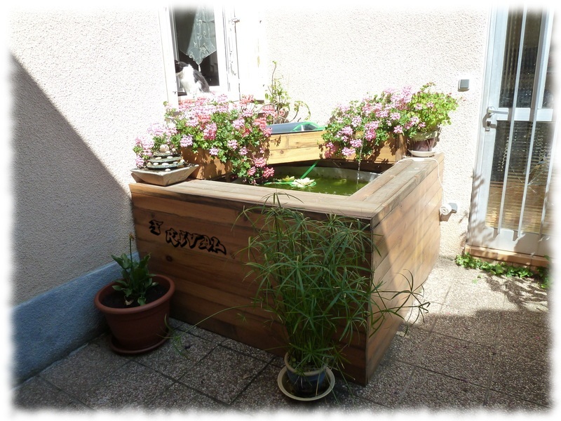 bassin d'agrément hors-sol décoré d'une fontaine, de plantes