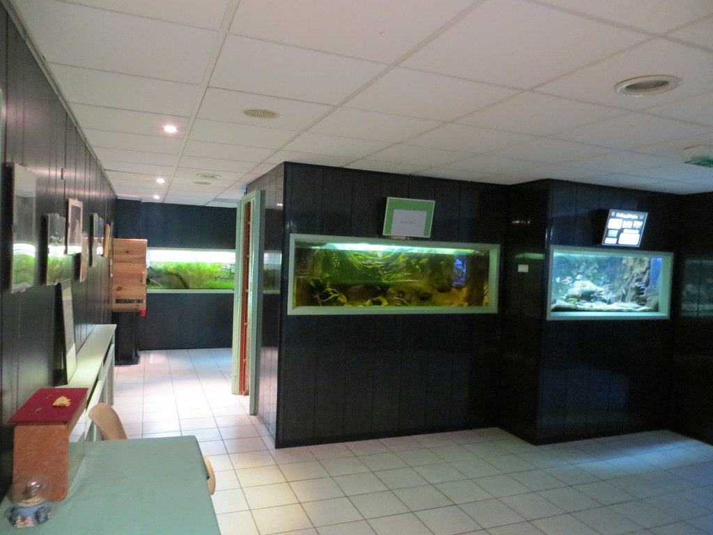 Aquarium de Saint Etienne