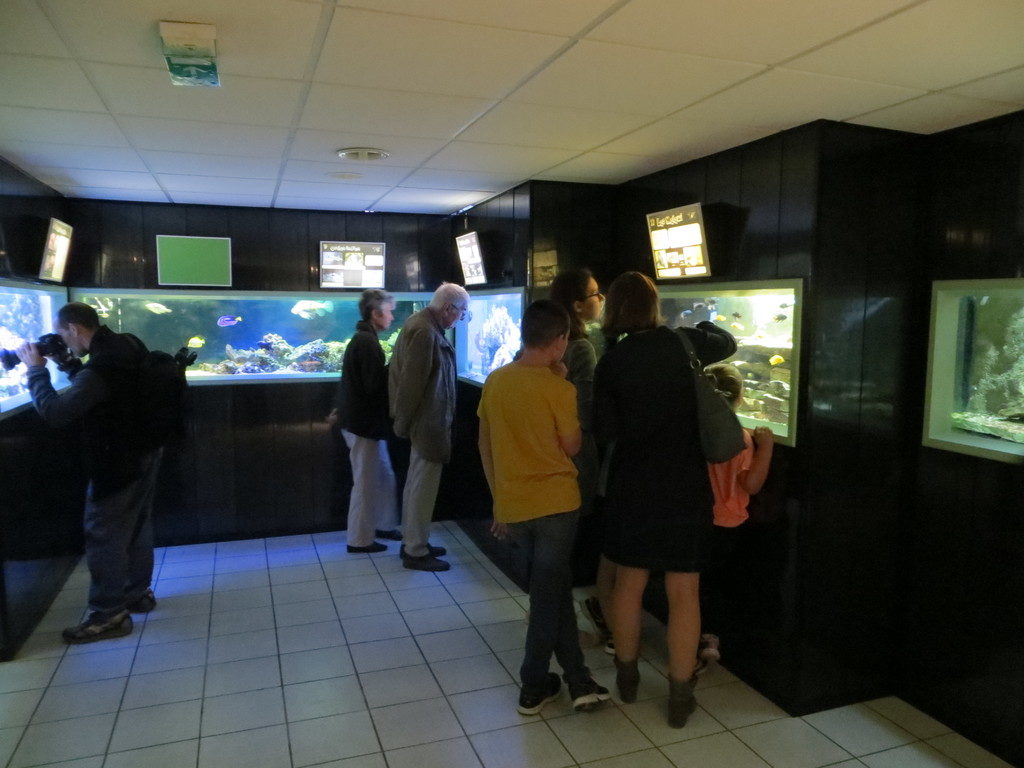 Photos des aquariums