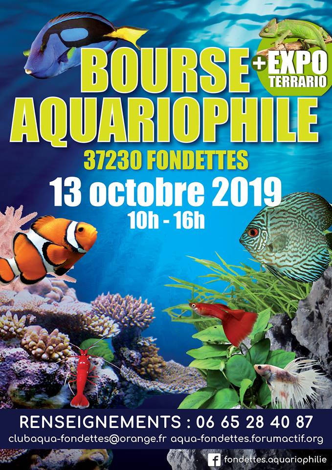 Club d'aquariophilie de Fondettes