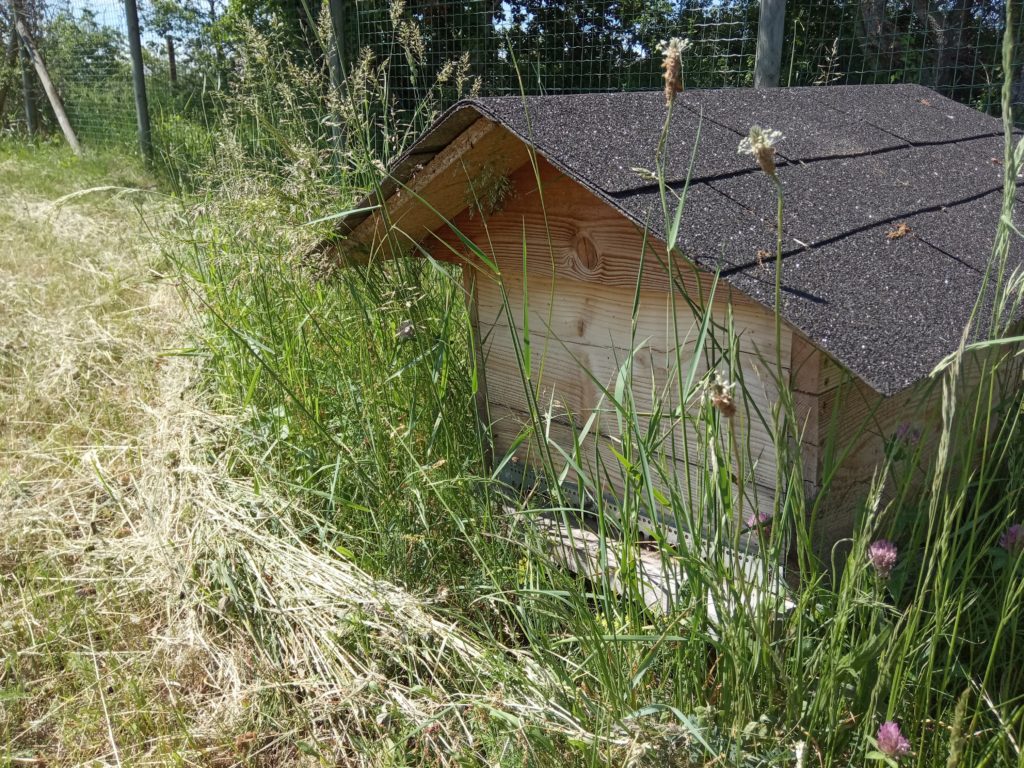 Astuces en apiculture: ruche dadant 12 cadres avec toit chalet