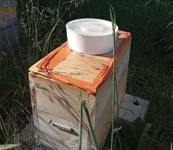 Ruchette avec son nourrisseur rond, mieux que ceux en bois et bon marché pour mettre le sirop de sucre pour abeilles