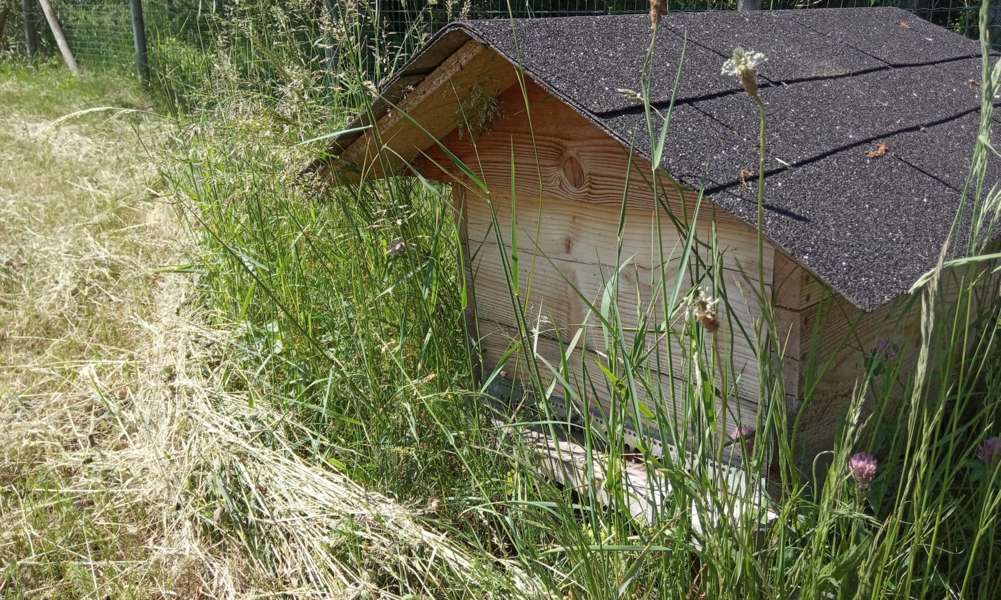 Mettre une ruche dans son jardin