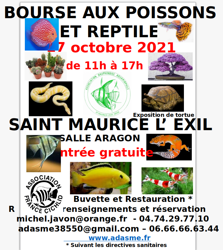 Bourse du Club de Saint Maurice-l'Exil